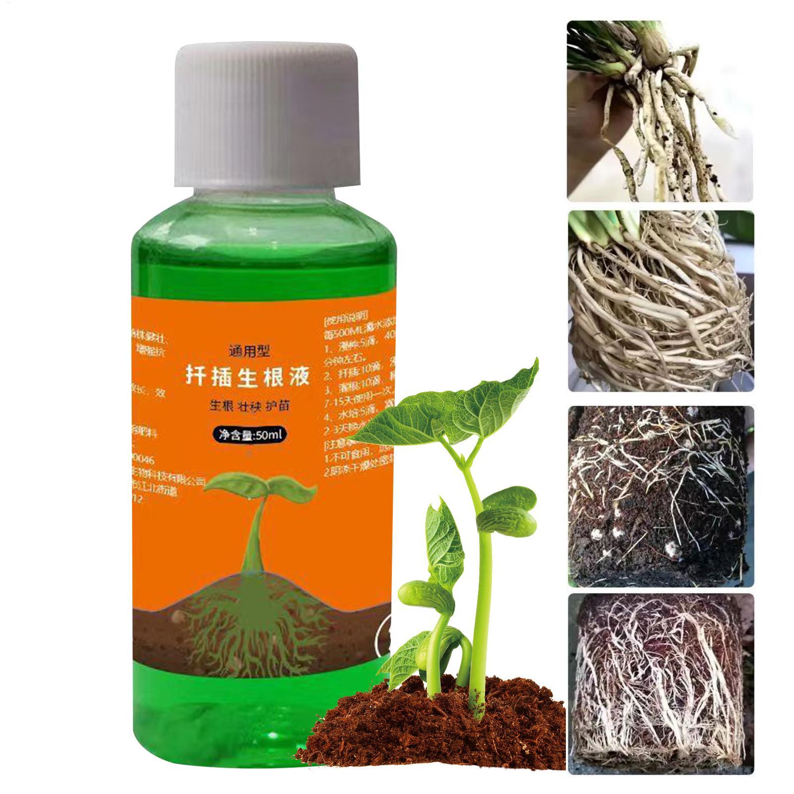 Root Stimulator Liquid - Solución nutritiva para trasplante de 50