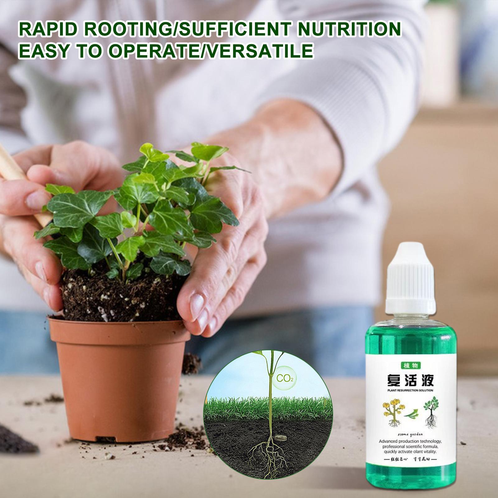 Estimulador de Raíces de 50 ml - Root Stimulator Liquid reseña y precio
