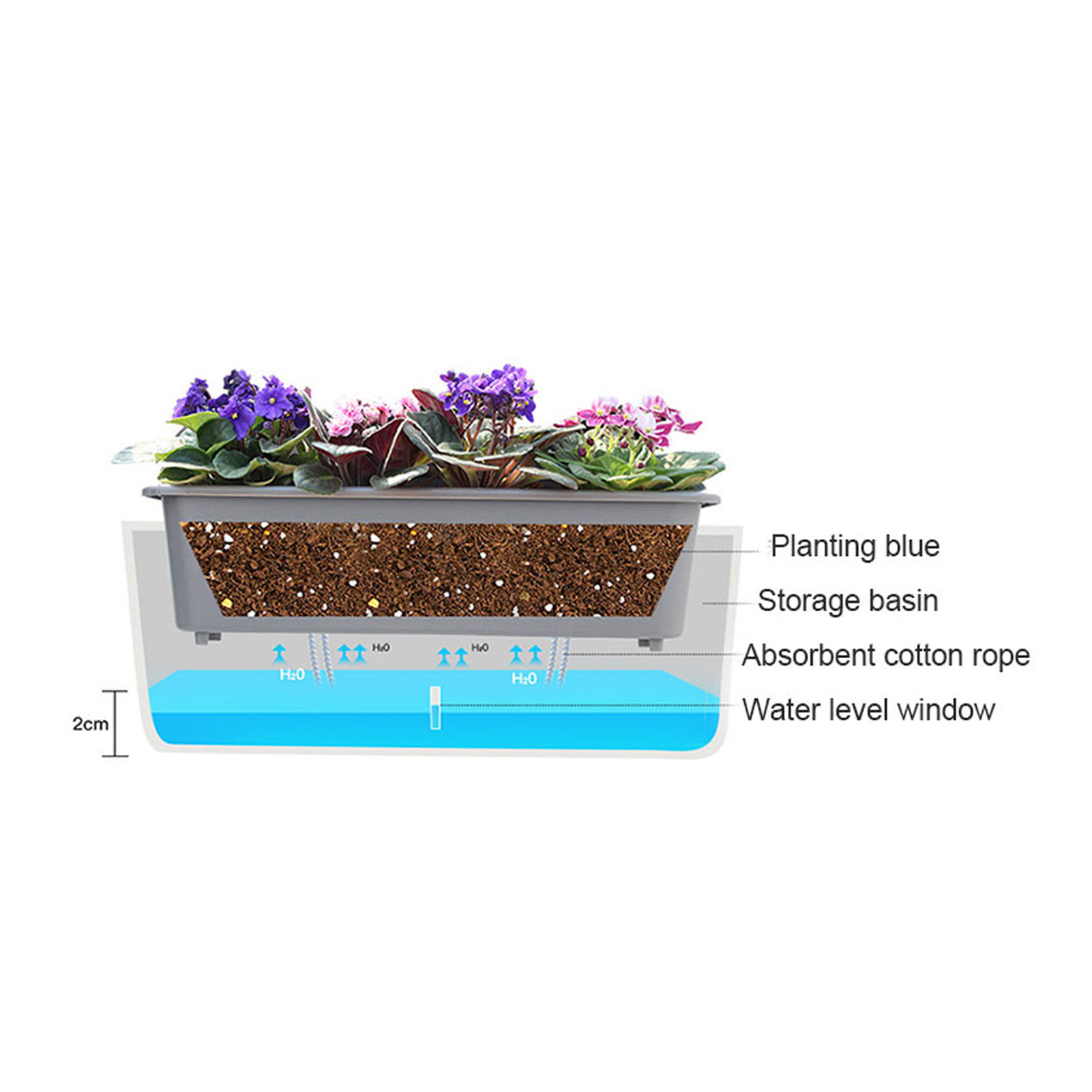 Macetas de autorriego con prác - Self Watering Insert reseña y precio
