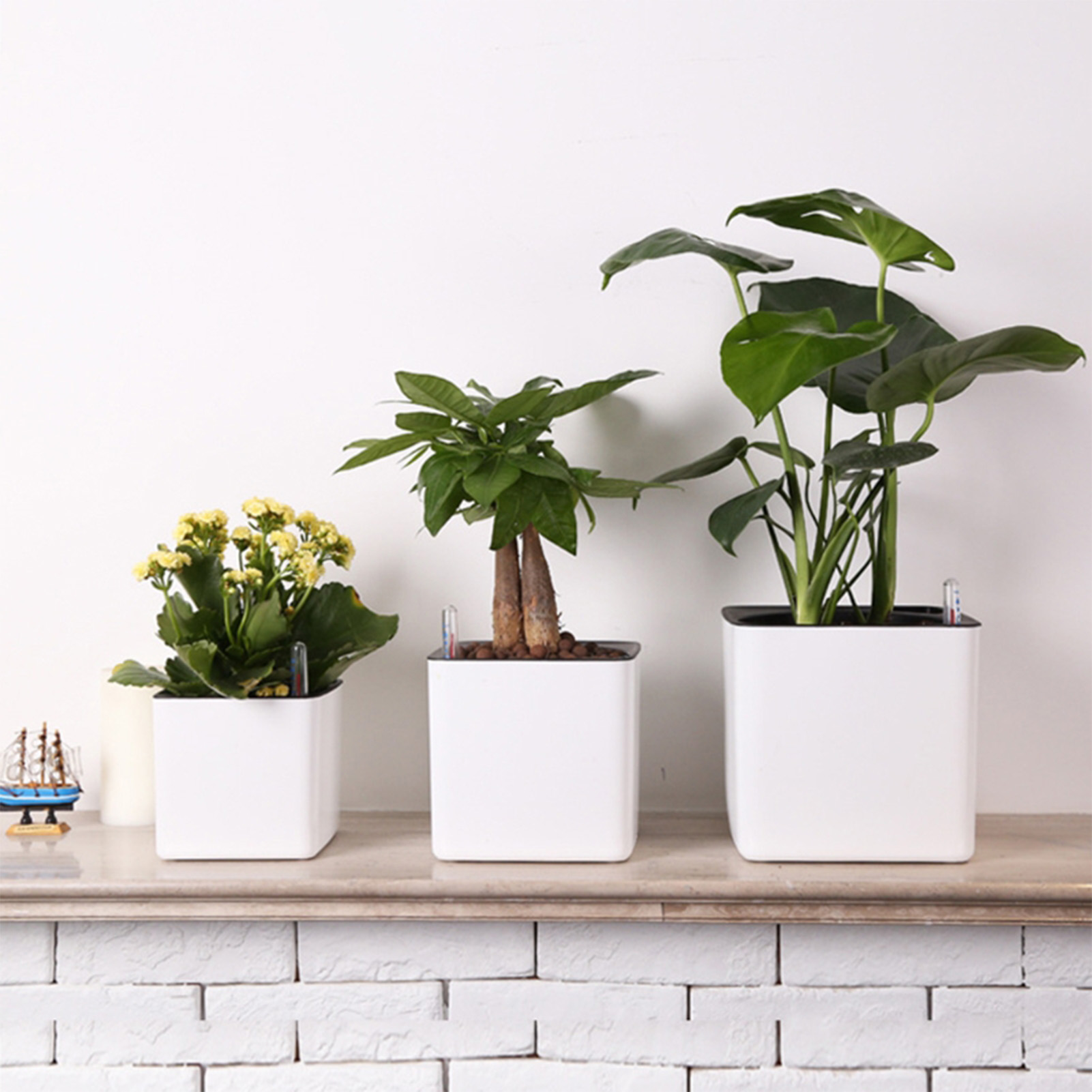 Maceta perezosa de 3 tamaños,  - Self Watering Insert reseña y precio