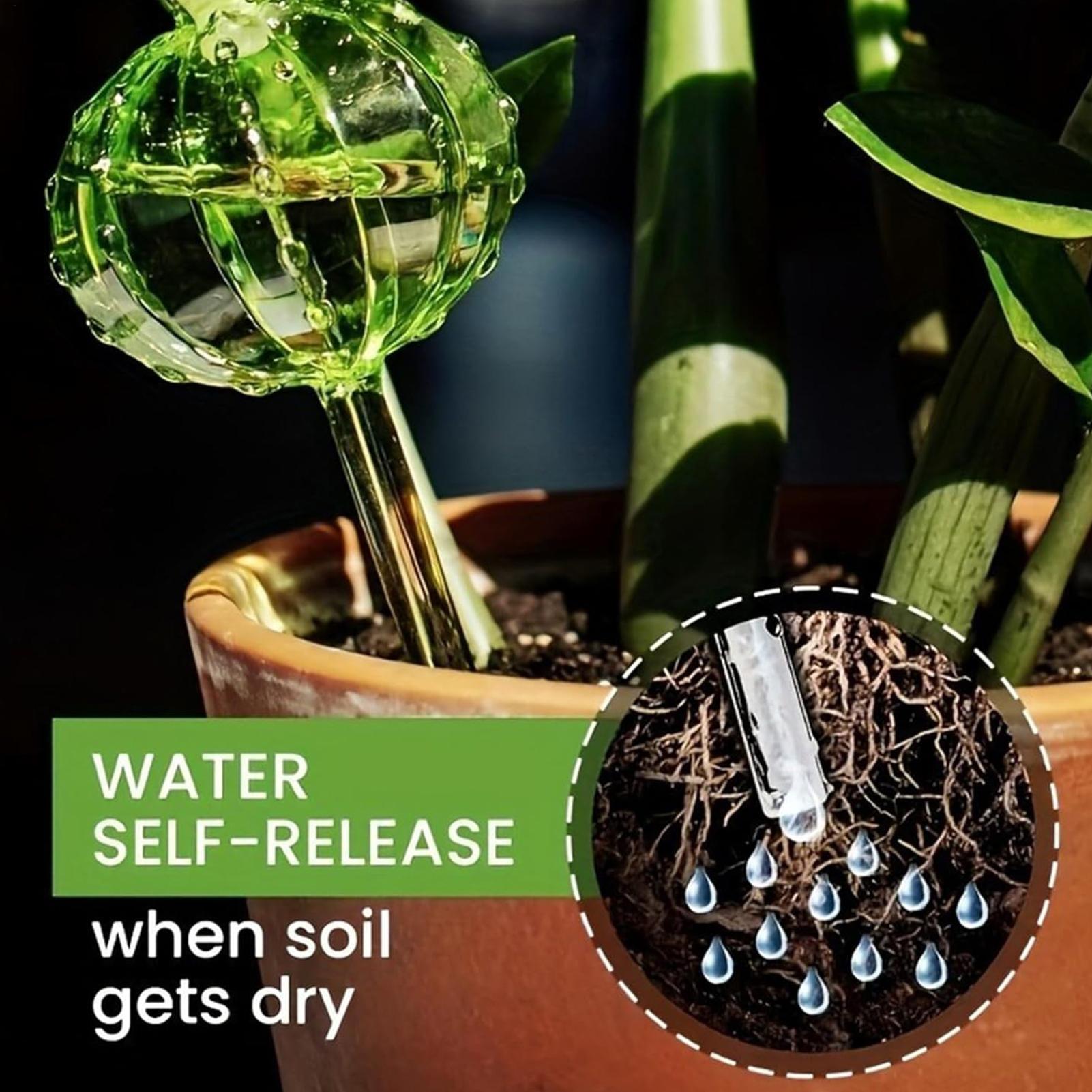 Estacas de riego para plantas, - Self Watering Insert reseña y precio