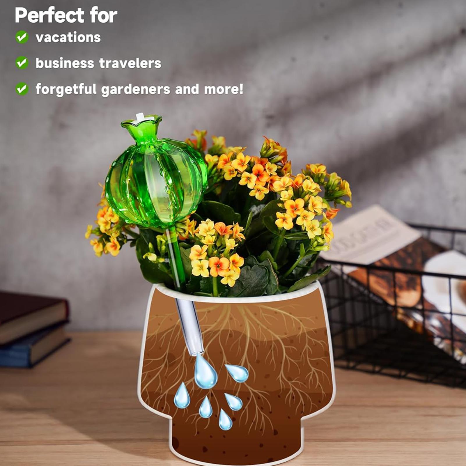 Estacas de riego para plantas, - Self Watering Insert reseña y precio