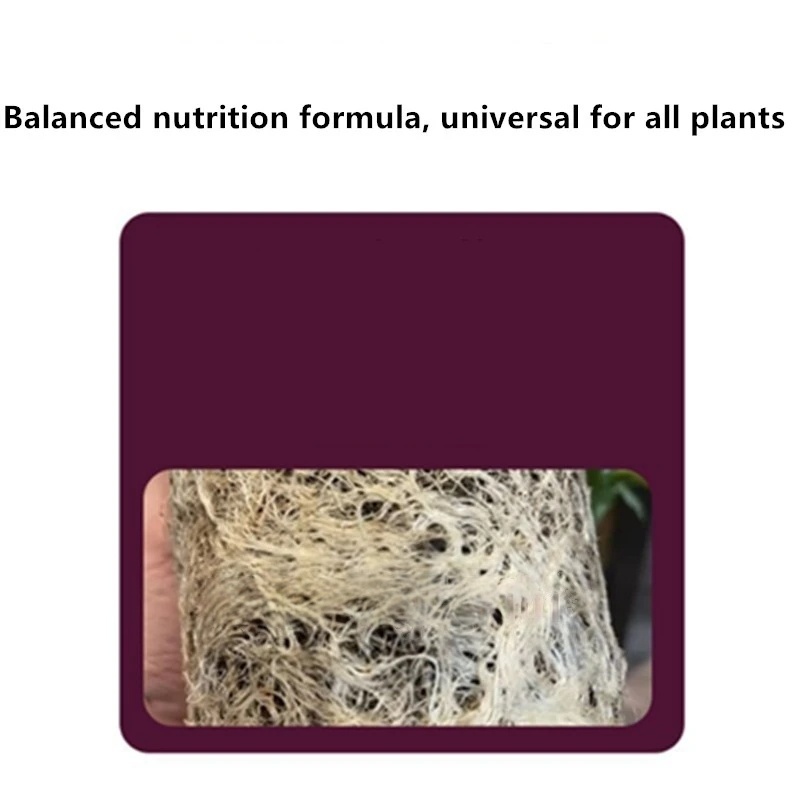 2 bolsas de hormona de enraiza - Rooting Hormone Powder reseña y precio