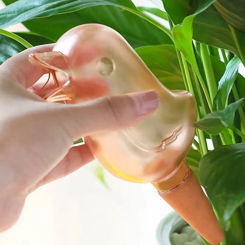 Bebedero automático de flores  - Self Watering Insert reseña y precio
