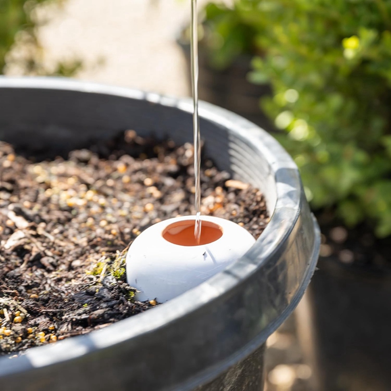 Bola de riego para plantas, pi - Self Watering Insert reseña y precio
